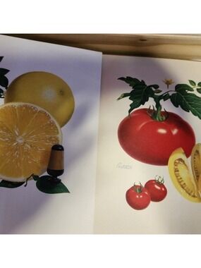 Midcentury Morton Salt Ads, Harriet Pertchik, Vintage Fruit Artwork 4-Pieces